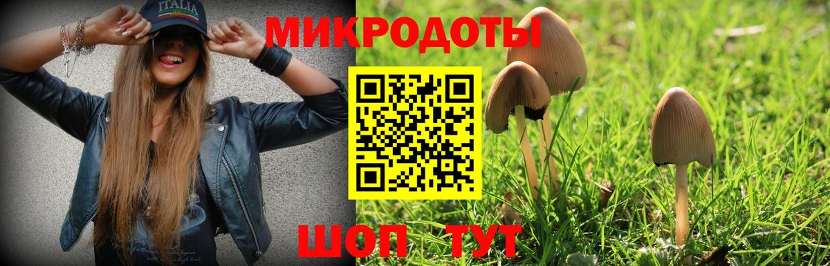 Галлюциногенные грибы Cubensis  Вход с VPN  Кольчугино 